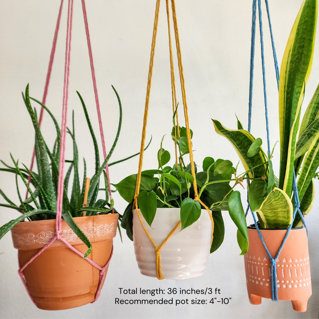 Tassel-Free Boho Plant Hanger