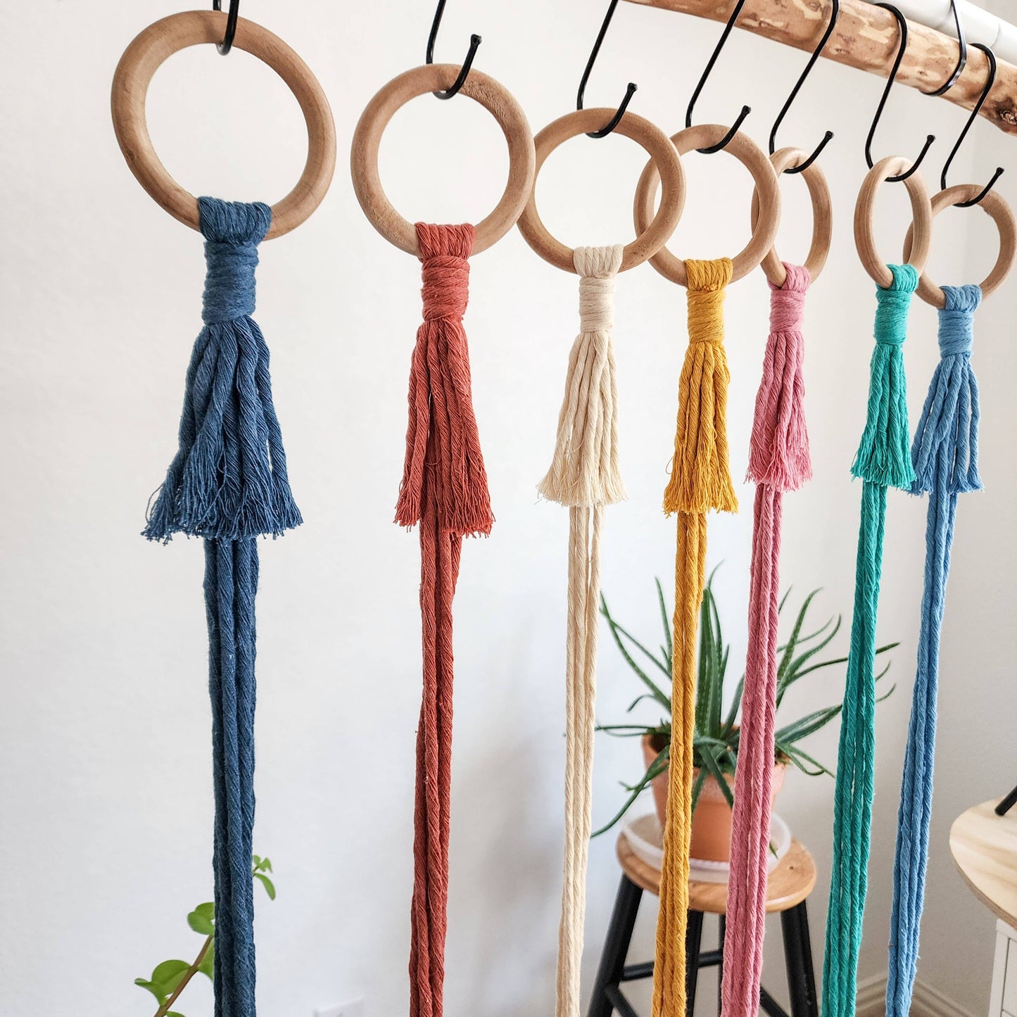 Tassel-Free Boho Plant Hanger