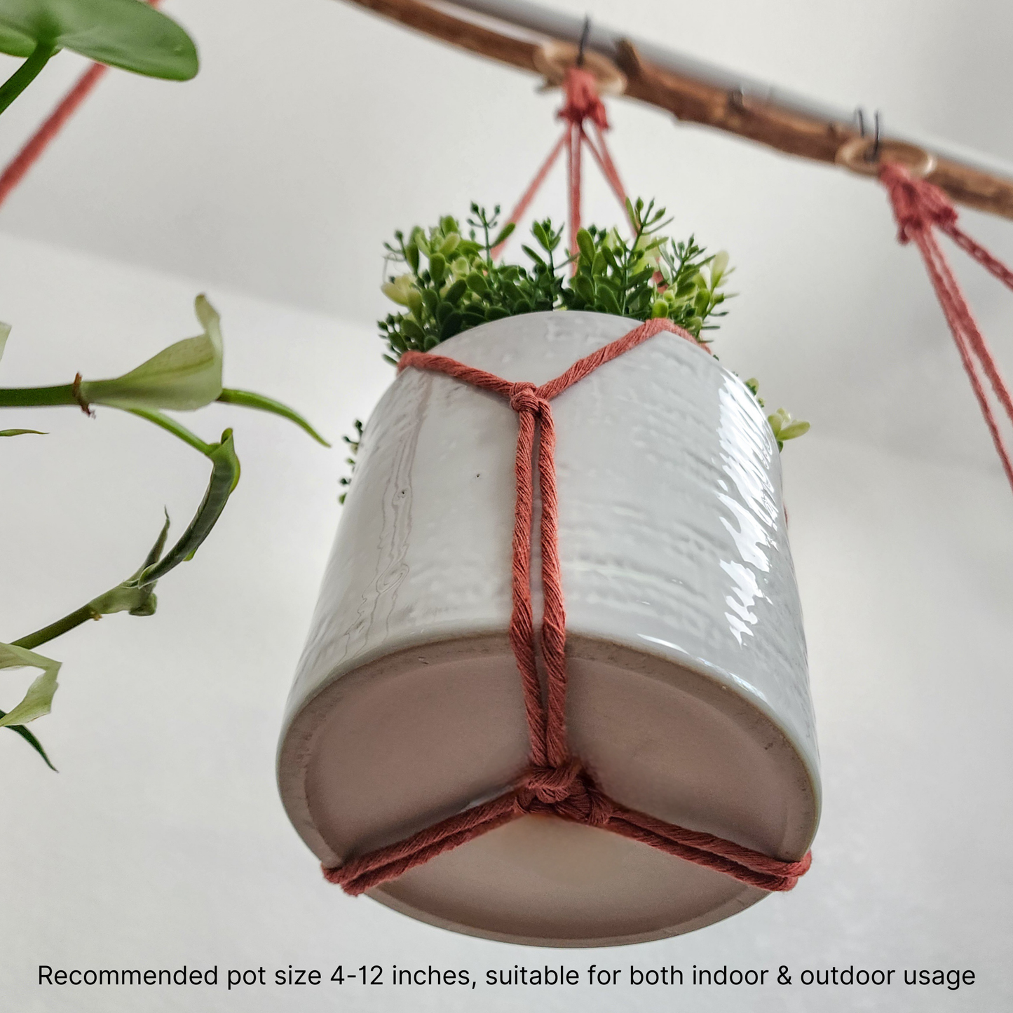Tassel-Free Boho Plant Hanger