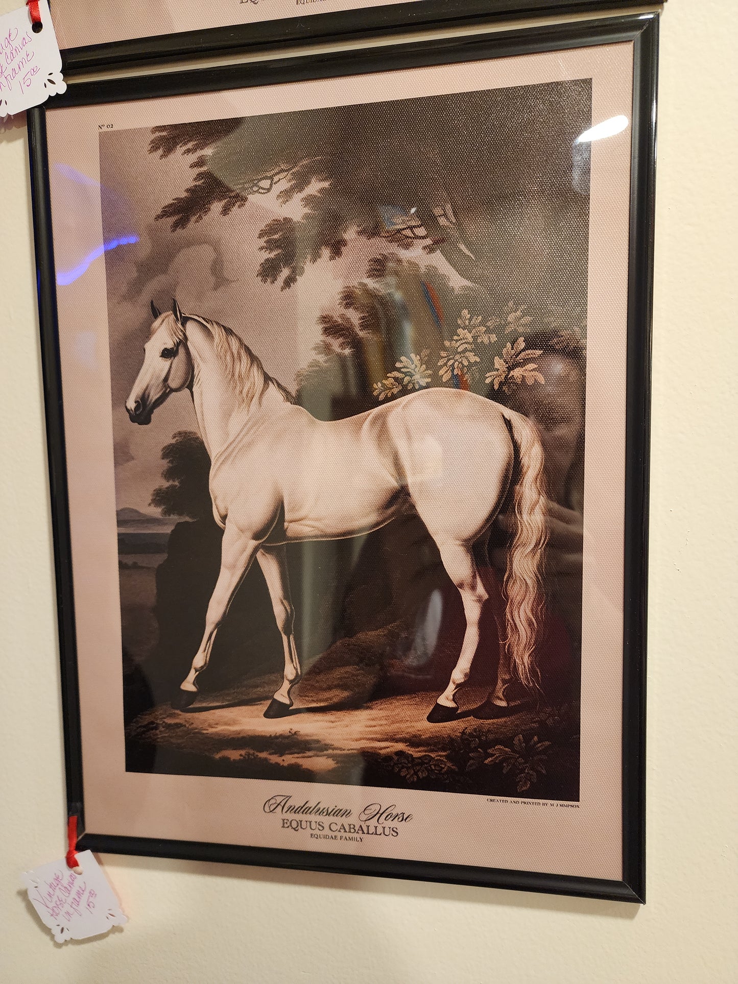 Vintage Horse on Canvas in Acrylic Frame