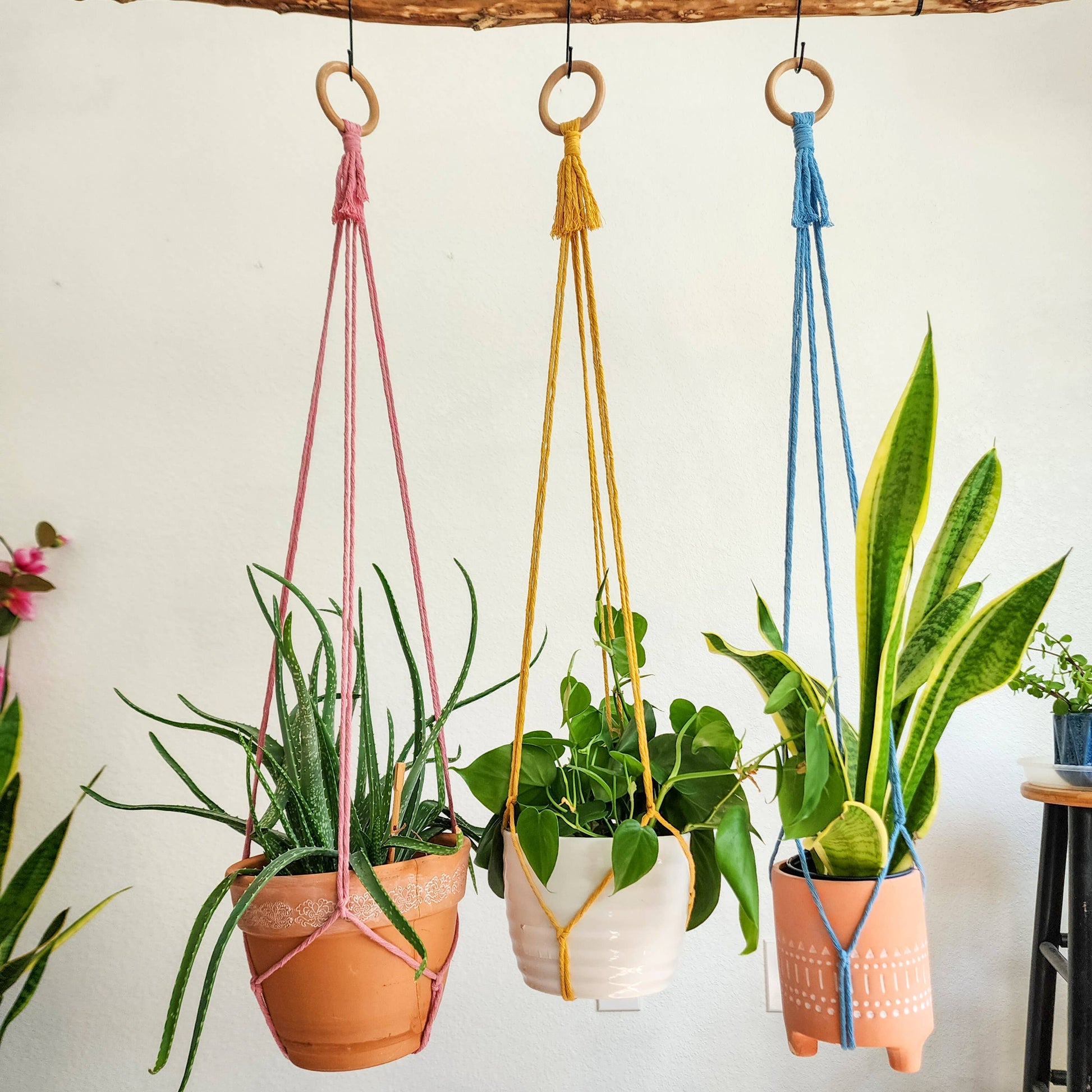 boho plant hanger Tassel-Free Boho Plant Hanger
