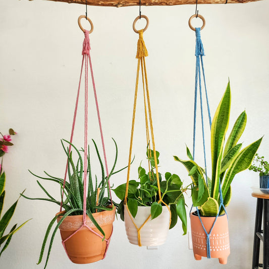 Tassel-Free Boho Plant Hanger